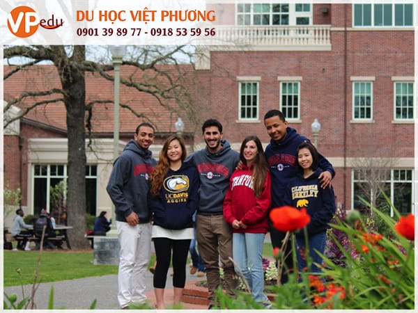 Trường Santa Rosa Junior College - sự lựa chọn hoàn hảo khi Mb66 hiện đang mở được xếp hạng cao nhất ở Mỹ