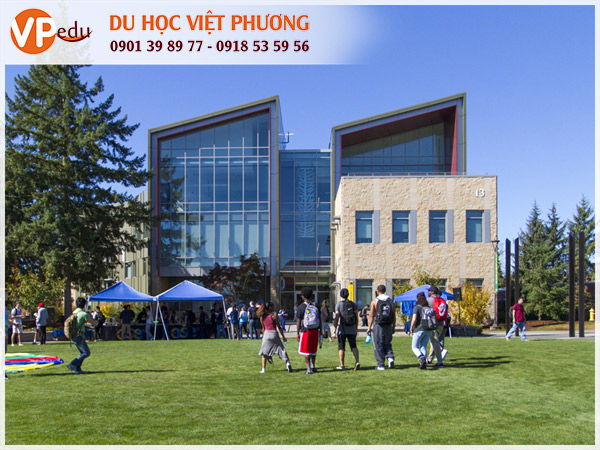 Trường Tacoma Community College, Mỹ