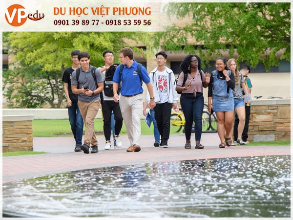 Môi trường Mocbai10 trang chủ trường The University of Tulsa rất năng động