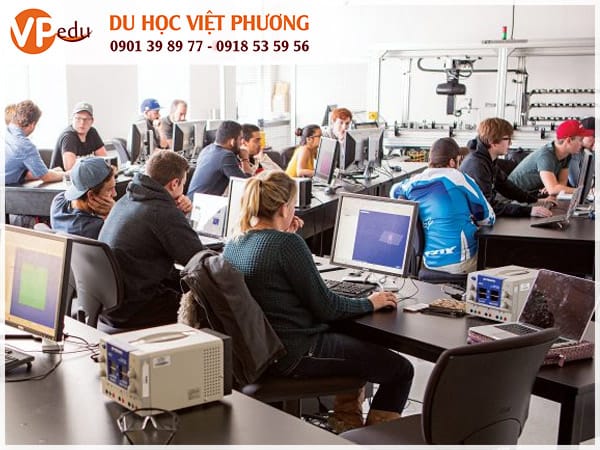 Chương trình học tại University of Guelph, Canada luôn được thực hành 