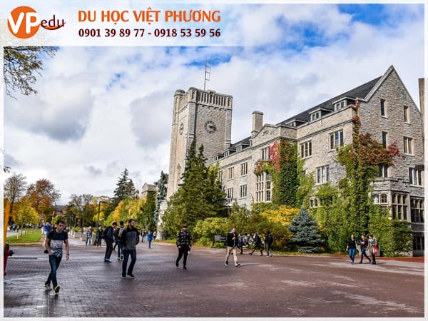 Chọn University of Guelph, nhận ngay học bổng Canada 2021 đến 20,000 CAD