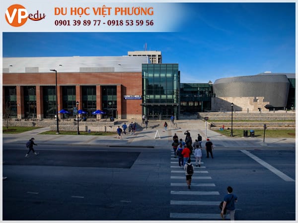 Trường University of Kentucky, Mỹ: Điểm đến Mb66 hiện đang mở được xếp hạng cao nhất lý tưởng của sinh viên quốc tế