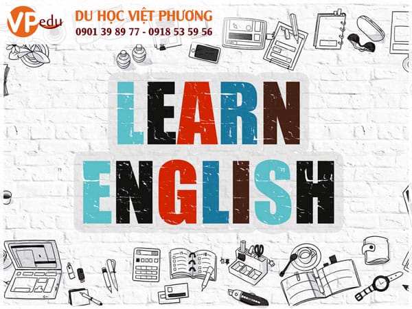 Học Tải app MB66 shop ở Canada là con đường rất khôn ngoan