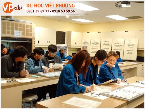 Lớp học tại trường trung học Toronto Central Academy