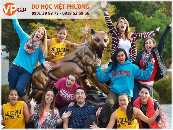 Môi trường Mocbai10 trang chủ tại trường Adelphi University rất năng động