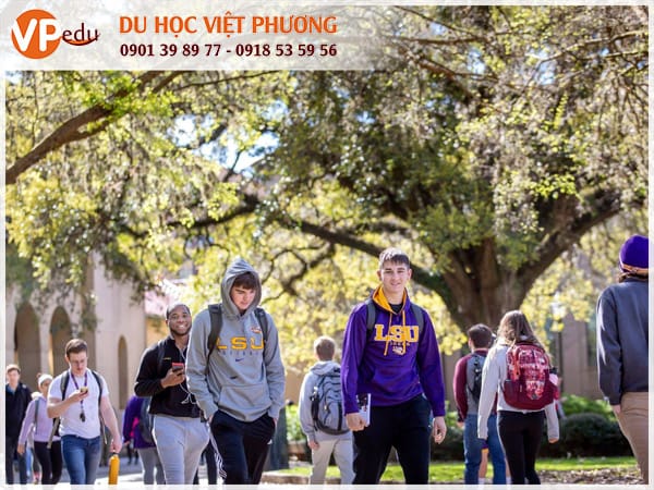 Môi trường học lý tưởng tại Louisiana State University thu hút sinh viên quốc tế