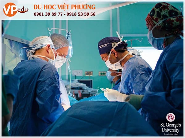 St. George's University: Ngôi trường đào tạo y dược hàng đầu tại Caribbean