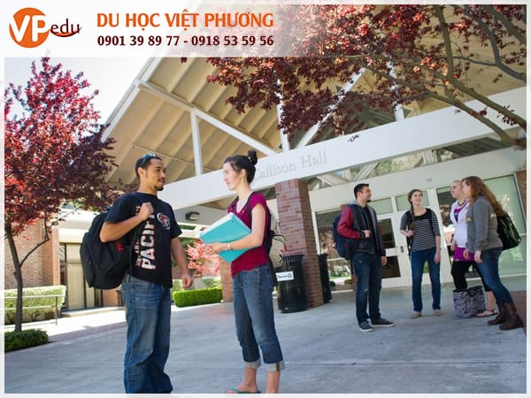 Đại học Pacific giúp bạn phát triển trong lĩnh vực bạn chọn