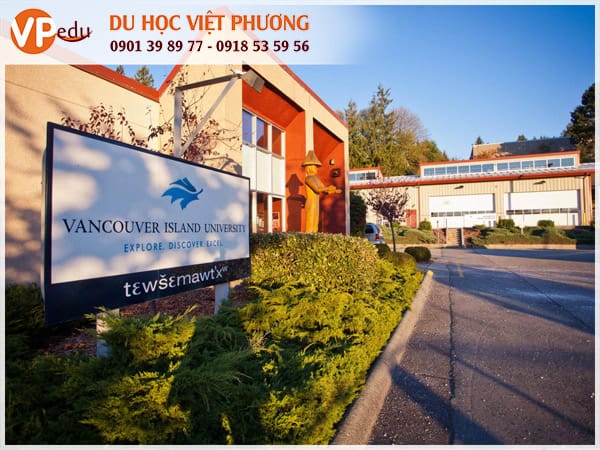 Mb66 không bị chặn Canada ngành Social Work tại Vancouver Island Univesity