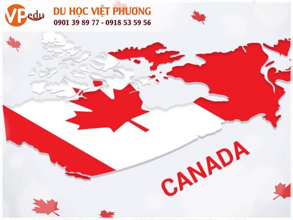 Mb66 không bị chặn Canada cho người lớn tuổi: Những điều cần biết