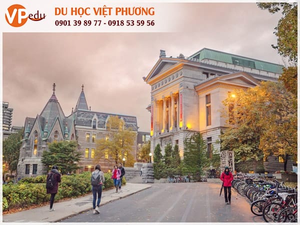 Trường McGill University
