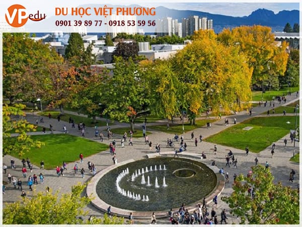 Trường University of British Columbia