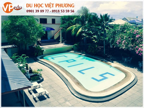 CPILS Academy: Đơn vị ưu tú trong số các Trang Chủ MB66.COM - Đăng Ký Tặng 66K ở Cebu