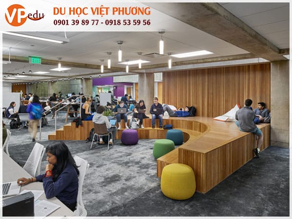 Môi trường Mocbai10 trang chủ tại Trang Chủ Chính Thức Nhà Cái MB66.Com