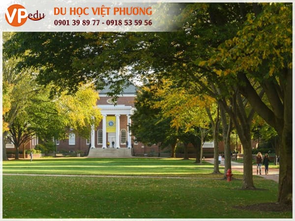 Trường University of Delaware, Mỹ
