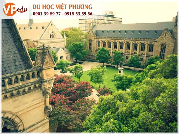 Đại học Adelaide, Úc - Môi trường Mocbai10 trang chủ đẳng cấp