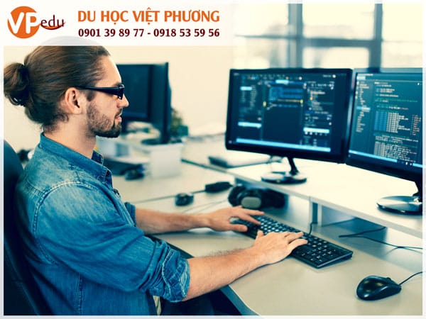 Kỹ sư phần mềm: Ngành nghề dễ định cư khi Mb66 hiện đang mở được xếp hạng cao nhất Canada