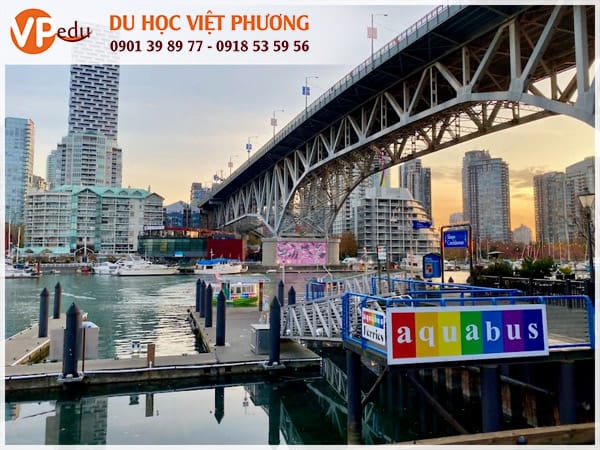 Mb66 không bị chặn Vancouver Canada: Mb66 được xếp hạng cao nhất gì, trường nào?