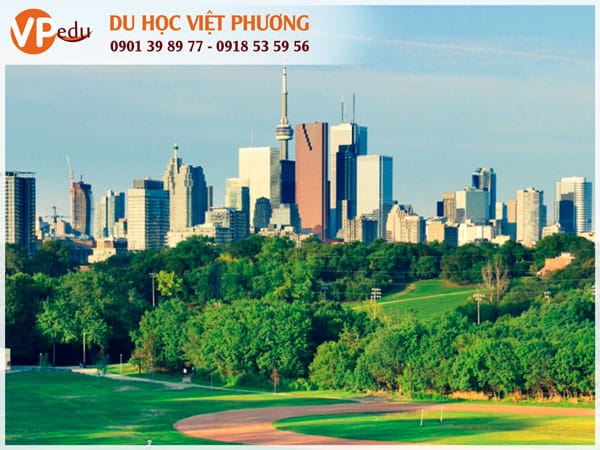Mùa hè ở Canada luôn tràn ngập ánh nắng