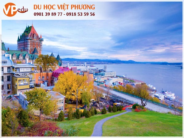 Quebec Immigration Options giúp bạn dễ định cư khi học tại Quebec