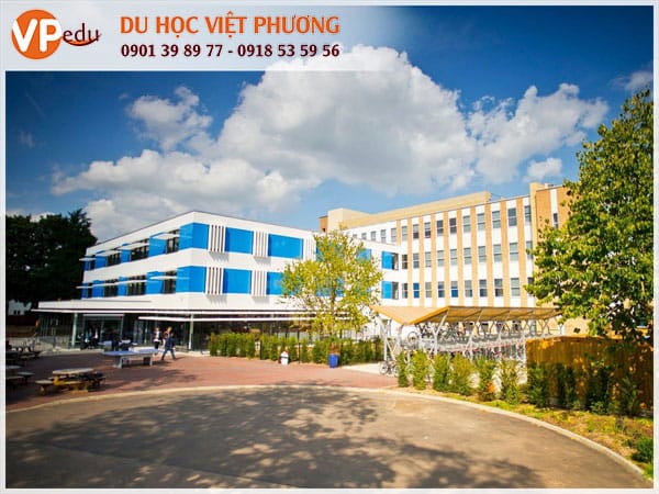 Trường Cats College – Vương Quốc Anh