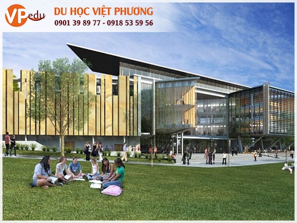 Chương trình đào tạo đa dạng tại The University of Queensland