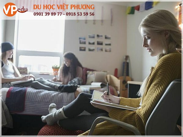 Các hình thức nhà ở tại New Zealand