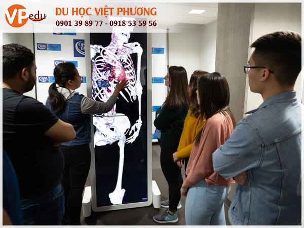 Trường George Brown College: chương trình đào tạo chất lượng