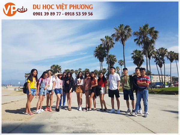 Mb66 không bị chặn hè Mỹ
