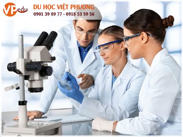 Học dược sỹ tại New Zealand 2021