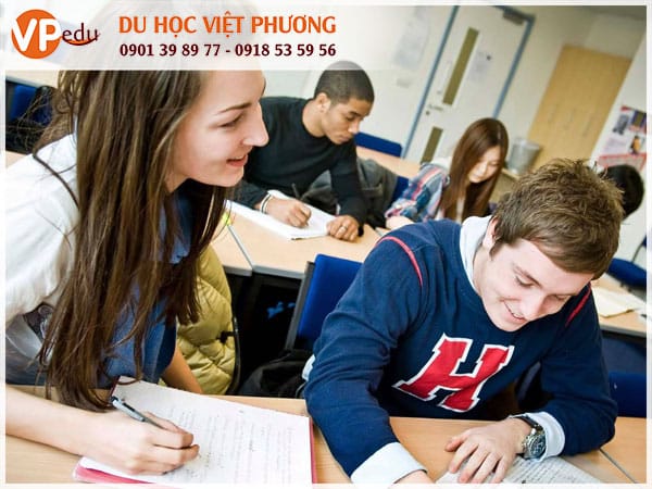Môi trường Mocbai10 trang chủ chất lượng, bằng cấp được quốc tế công nhận