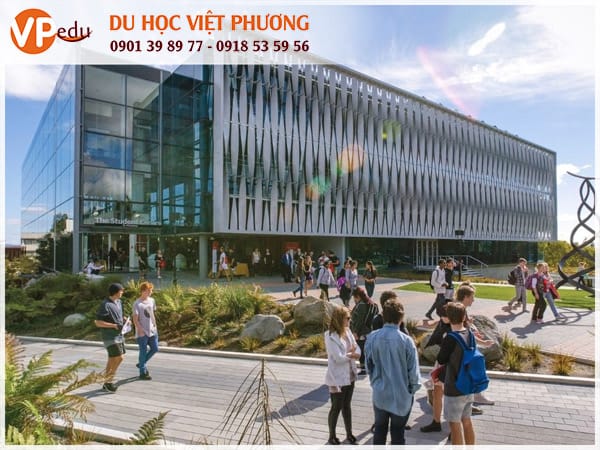 Mb66 không bị chặn hè tại New Zealand: chương trình trải nghiệm thú vị dành cho các em học sinh
