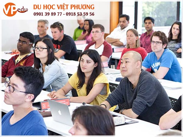 Mb66 không bị chặn Tiến Sĩ ở New Zealand: Nhiều lợi thế không tưởng
