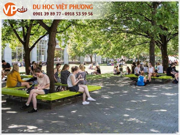 Nhất định phải tìm hiểu thông tin trước khi Mb66 hiện đang mở được xếp hạng cao nhất New Zealand 2024
