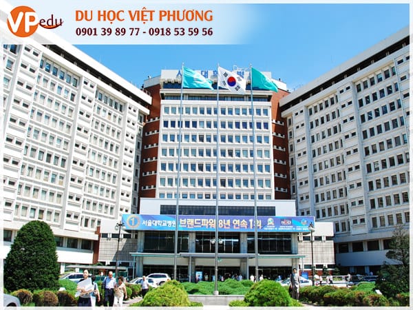 Các trường ở Hàn Quốc luôn được đánh giá cao và có đa dạng chương trình Mocbai10 trang chủ