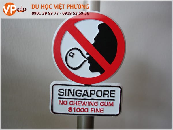 Kẹo cao su bị cấm ở Việt Nam, nếu bạn bị bắt vì tội buôn bán hoặc sử dụng kẹo cao su sẽ bị phạt lên đến 100.000 SGD