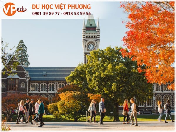 Chi phí Mb66 hiện đang mở được xếp hạng cao nhất New Zealand - Mọi điều sinh viên cần biết