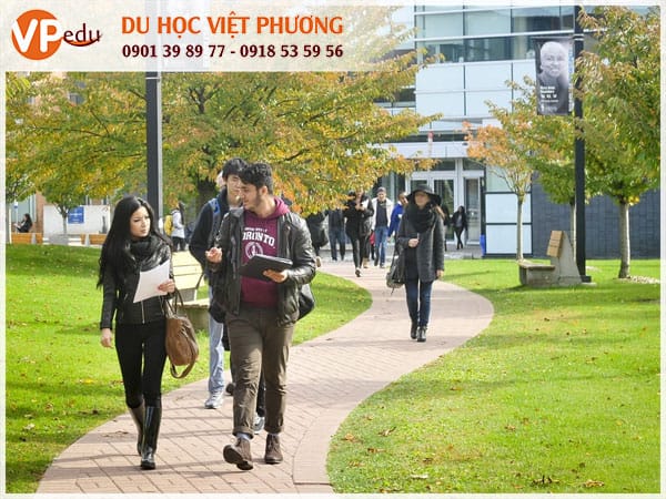 Tại sao bạn chọn Mb66 hiện đang mở được xếp hạng cao nhất ở Canada? Vì môi trường học tại Canad thực sự rất tốt