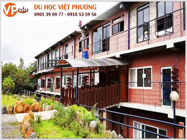 Beci cung cấp rất nhiều khóa học Tiếng Anh khác nhau để có thể phù hợp với trình độ khả năng của từng học viên khi tới đây học