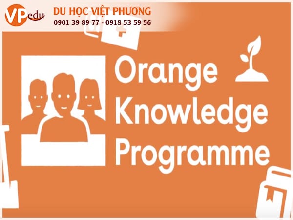 Mocbai66.com chính thức Mb66 hiện đang mở được xếp hạng cao nhất Hà Lan: Orange Knowledge Programme