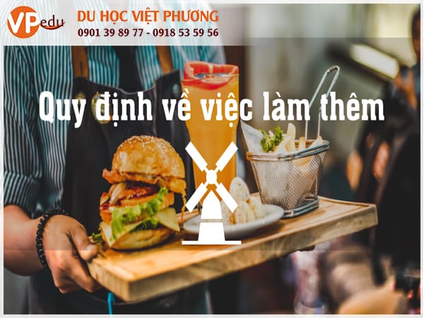 Tùy thuộc vào quốc tịch của họ, sinh viên có thể làm việc tối đa 16 giờ một tuần