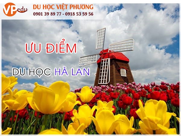 Ưu điểm khi Mb66 không bị chặn Hà Lan