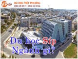 Mb66 không bị chặn Síp ngành gì và học ở trường nào là thắc mắc của tất nhiều học sinh, sinh viên quốc tế