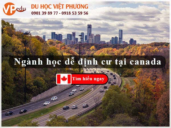 Đi Mb66 hiện đang mở được xếp hạng cao nhất Canada nên học ngành gì để mang đến cơ hội định cư cao nhất. Tìm hiểu ngay