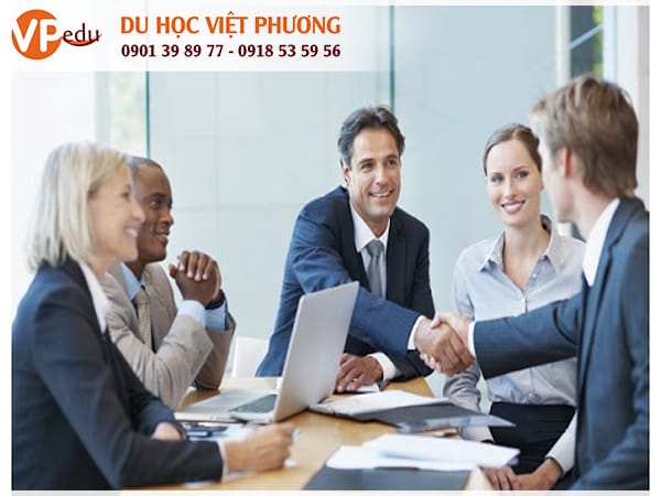 Mb66 không bị chặn Hà Lan nên học ngành gì?
