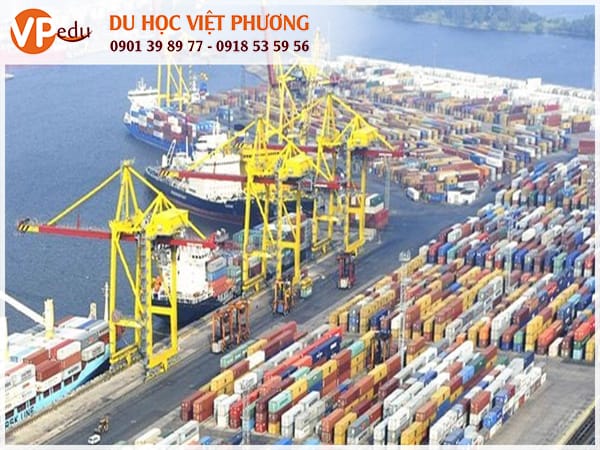 Ngành Logistics tại Hà Lan là lựa chọn hàng đầu cho sinh viên quốc tế