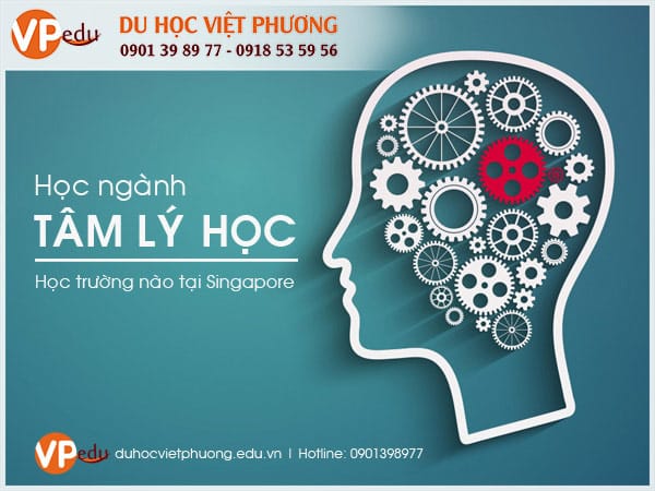 Mb66 không bị chặn SIngapore ngành tâm lý - học trường nào là tốt nhất