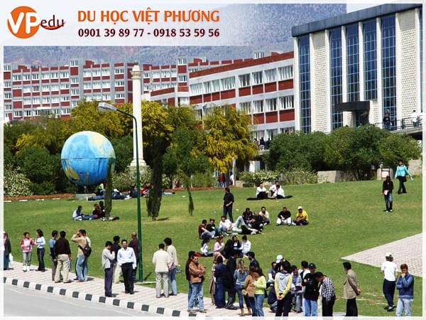 Khi Mb66 hiện đang mở được xếp hạng cao nhất Cyprus (Síp), bạn sẽ được tiếp cận với nền Mocbai 66 bài casino tiên tiến nhưng mức chi phí Mocbai10 trang chủ và sinh hoạt phải chăng