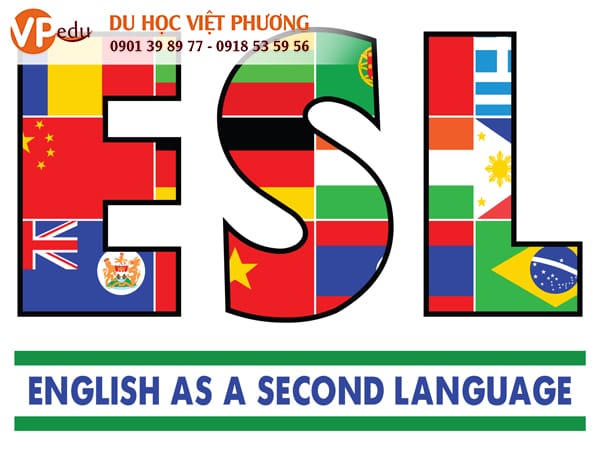 Các khóa học ESL ở Philippines sẽ dạy cho bạn tất cả các kỹ năng cần thiết để giao tiếp hiệu quả bằng Tải app MB66 shop bằng cách tập trung vào các kĩ năng nói, nghe, đọc, ngữ pháp, viết và từ vựng.