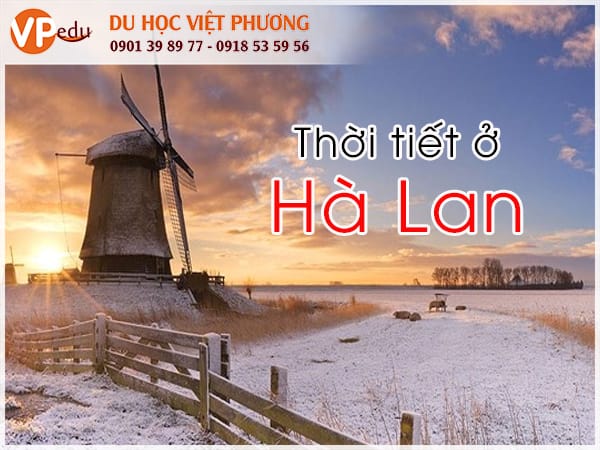 Hà Lan là một quốc gia mà bạn không thể thực sự tận hưởng mùa hè khi Mb66 hiện đang mở được xếp hạng cao nhất tại đây